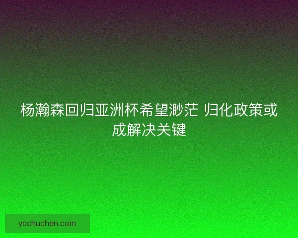 杨瀚森回归亚洲杯希望渺茫 归化政策或成解决关键